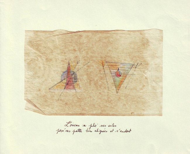 myra coppey oiseau-r
